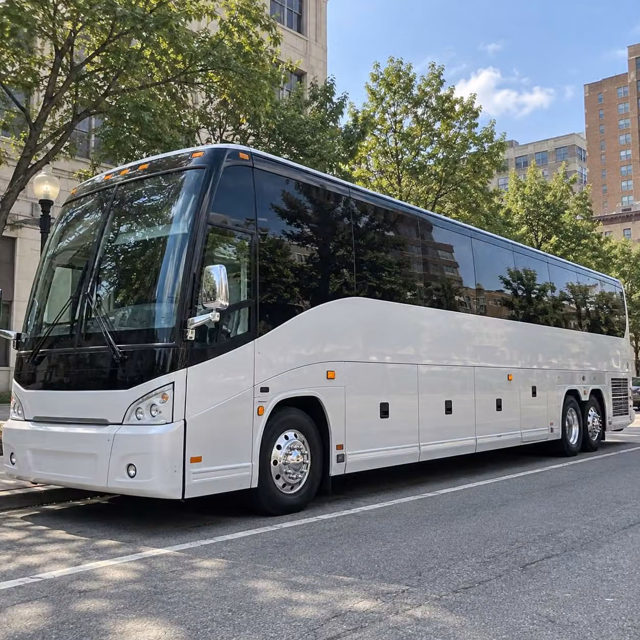 lubbock zoo field trip transportation made simple